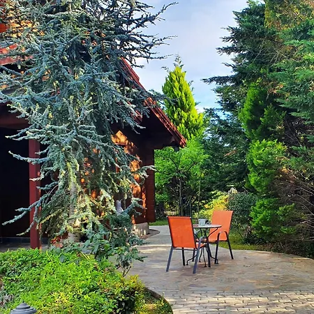 Luxury Wooden With Pool, The Nest 빌라 Kato Korakiana